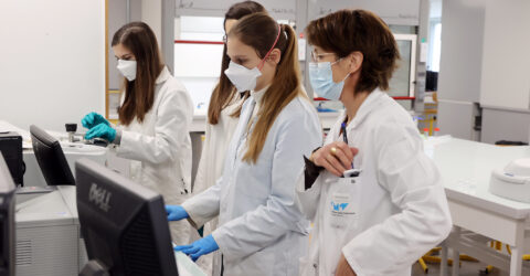 51722350844_cb921e6076_k